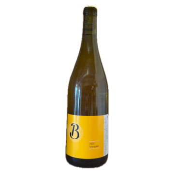 Audrey Pilorget Sauvignon B 2022